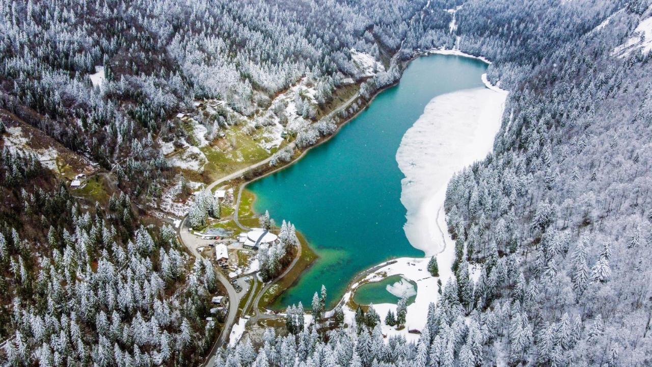 Hotel Du Lac Montriond Bagian luar foto